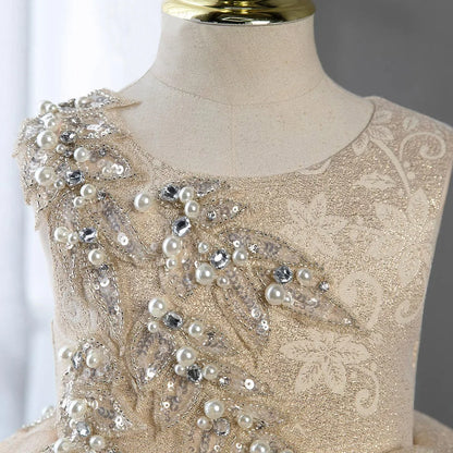 Toddler Girls Christmas Party Princess Dress Embroidery Beading Pearl Lace Children Ball Gown Birthday Performance Prom Dresses