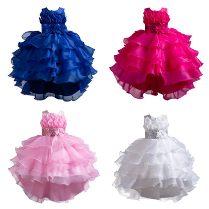 Girls Party Dress with Train, Puffy Cake Dress for Birthday & Flower Girl, Elegant Princess Gown for Host & Special Events