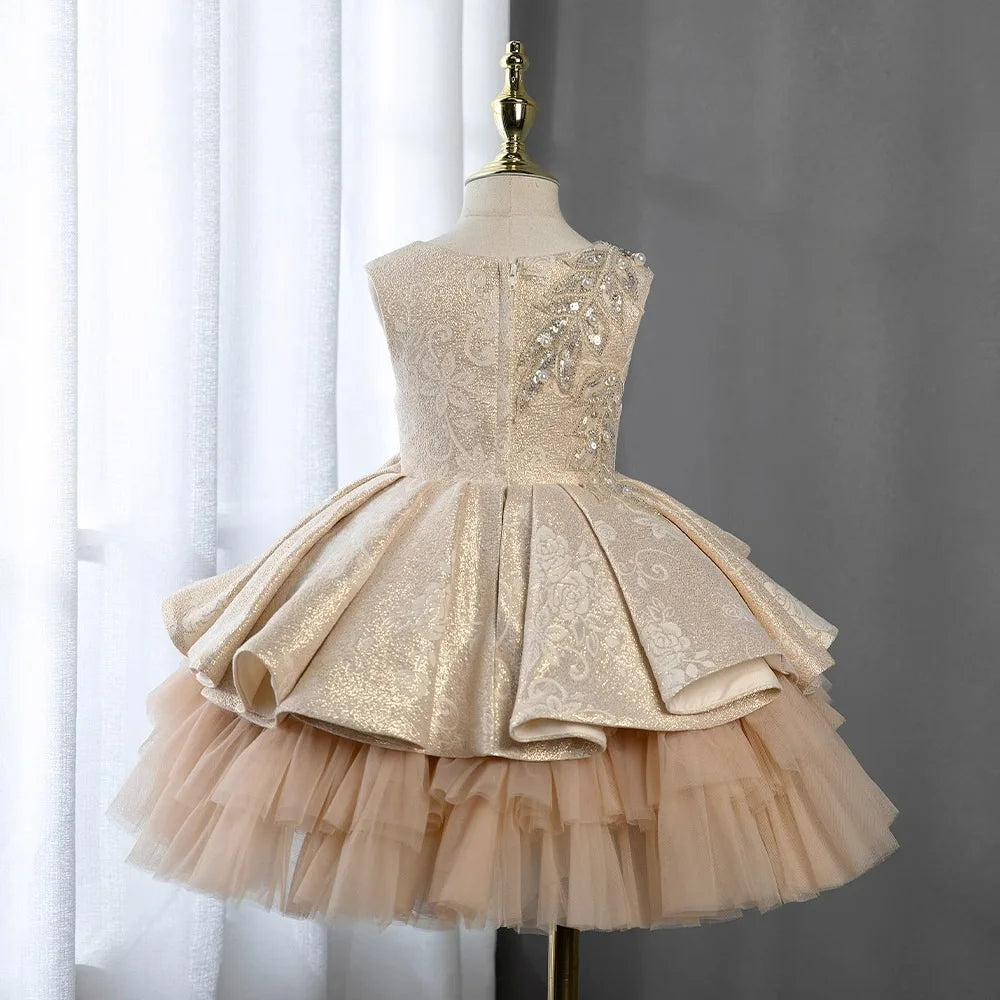 Toddler Girls Christmas Party Princess Dress Embroidery Beading Pearl Lace Children Ball Gown Birthday Performance Prom Dresses