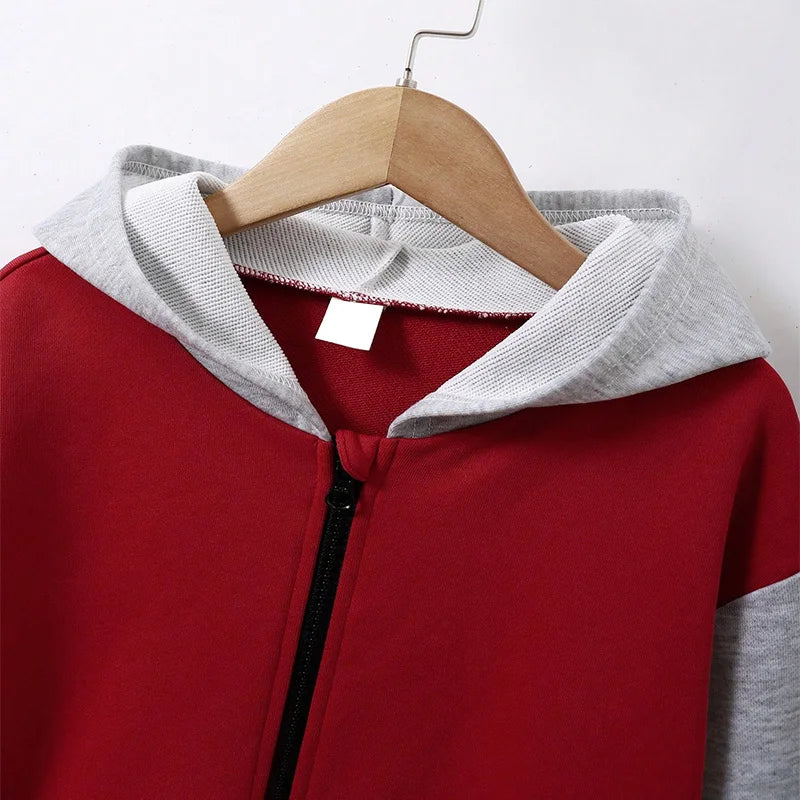 Autumn And Winter Boys Cute Cold And Warm Block Color Hooded Zipper Hoodie Coat Daily Leisure Birthday Party Clothing Clothing