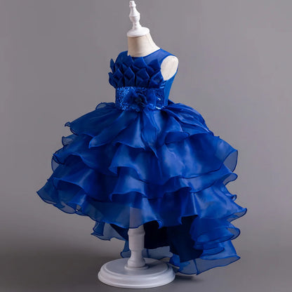 Girls Party Dress with Train, Puffy Cake Dress for Birthday & Flower Girl, Elegant Princess Gown for Host & Special Events