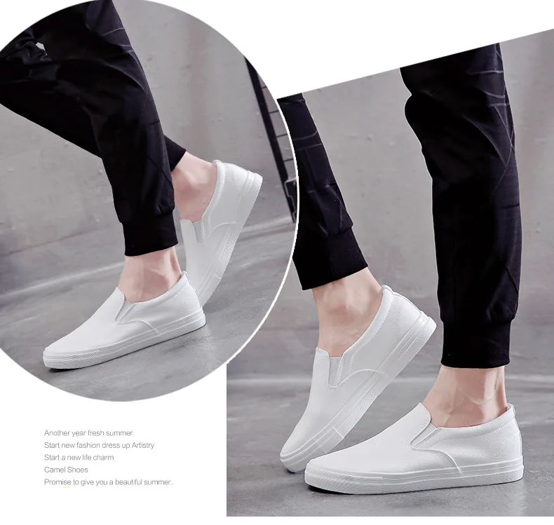 New Shoes for Men Leather Casual Shoes Spring Fashion Concise Flat Shoes 2 Colors Slip-on Loafers