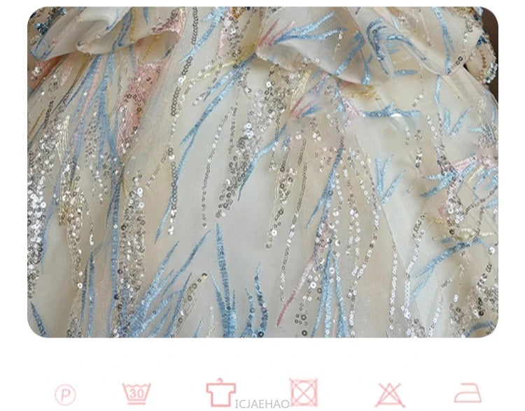 Girls Summer Party Dress Puffy PrincessFlower Pageant Host Formal Gown Girl Outfit Piano Recital Performance Birthday Wedding