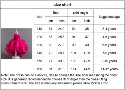 Girls Party Dress with Train, Puffy Cake Dress for Birthday & Flower Girl, Elegant Princess Gown for Host & Special Events