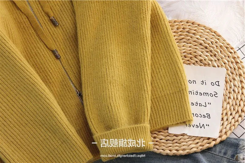 Women Cardigan Sweater Coat Hooded Fashion Solid color Sweater Female  zipper Knitted Spring Autumn Oversize Sweater Overcoat
