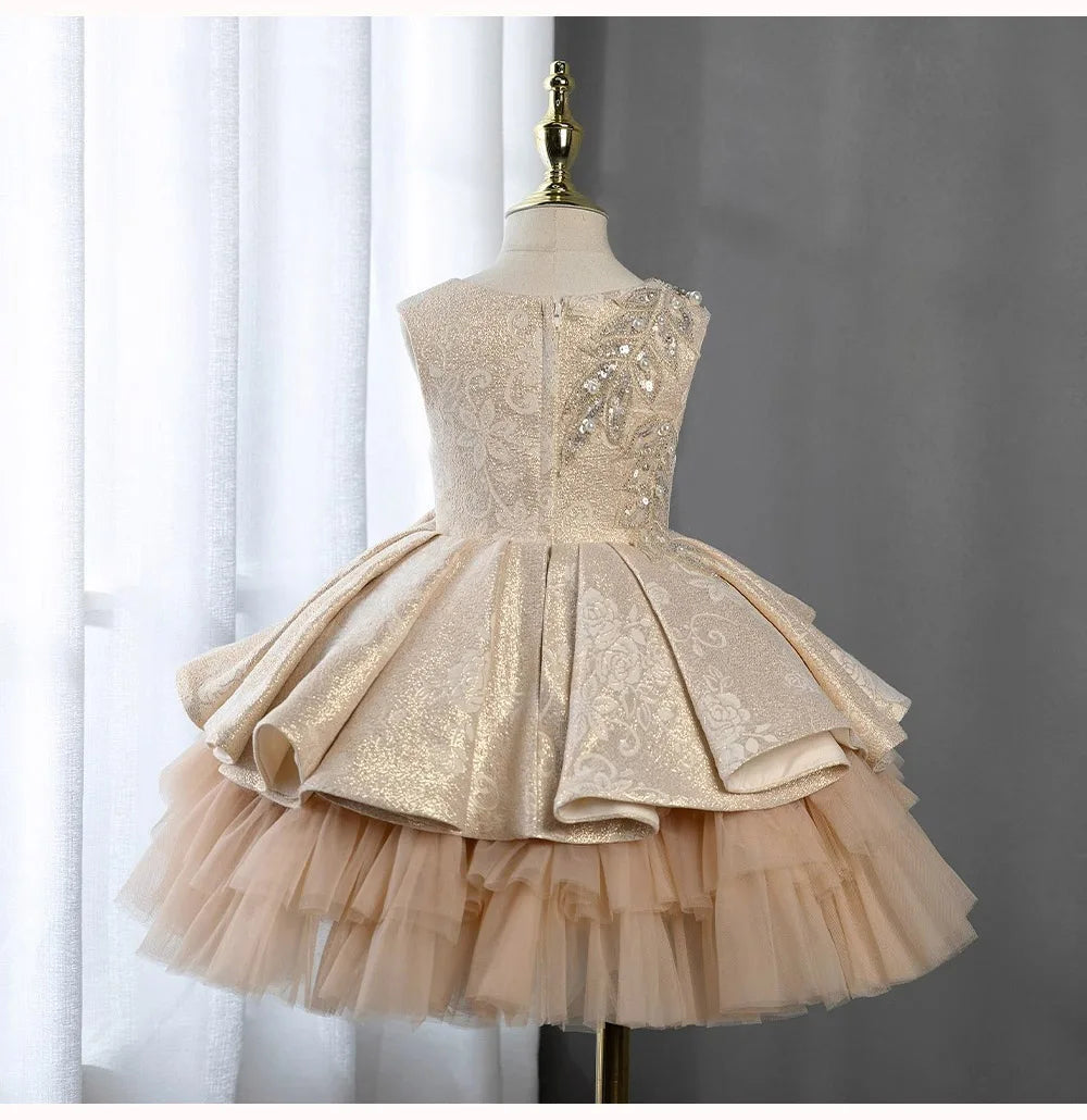 Toddler Girls Christmas Party Princess Dress Embroidery Beading Pearl Lace Children Ball Gown Birthday Performance Prom Dresses