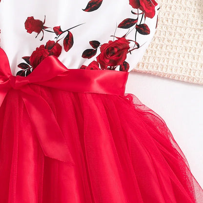 Girls Summer Clothes Casual Style Clothes Ruffles Printed Flower Bowknot Birthday Party Pageant Dress Casual Vacation Stylish