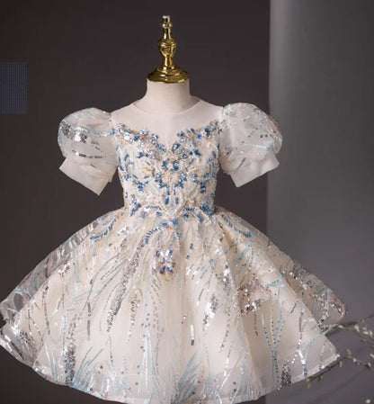 Girls Summer Party Dress Puffy PrincessFlower Pageant Host Formal Gown Girl Outfit Piano Recital Performance Birthday Wedding