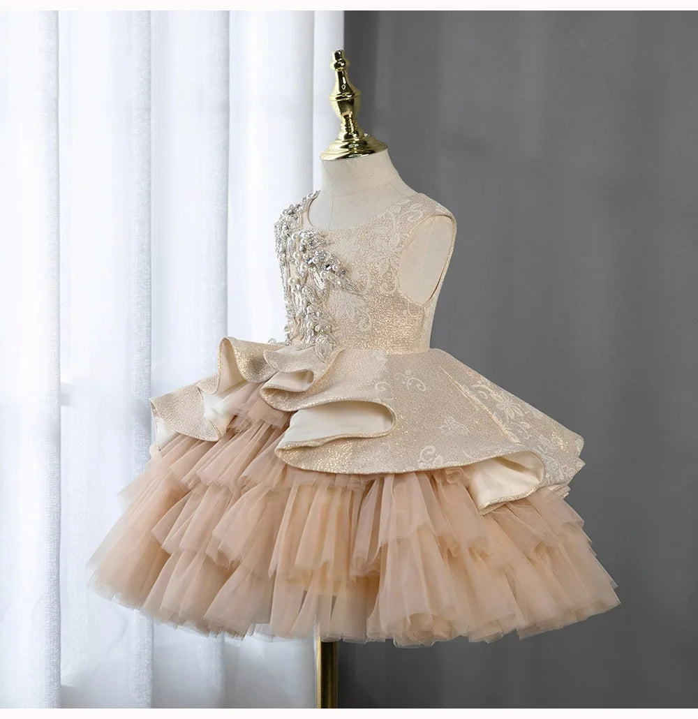 Toddler Girls Christmas Party Princess Dress Embroidery Beading Pearl Lace Children Ball Gown Birthday Performance Prom Dresses