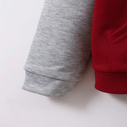 Autumn And Winter Boys Cute Cold And Warm Block Color Hooded Zipper Hoodie Coat Daily Leisure Birthday Party Clothing Clothing