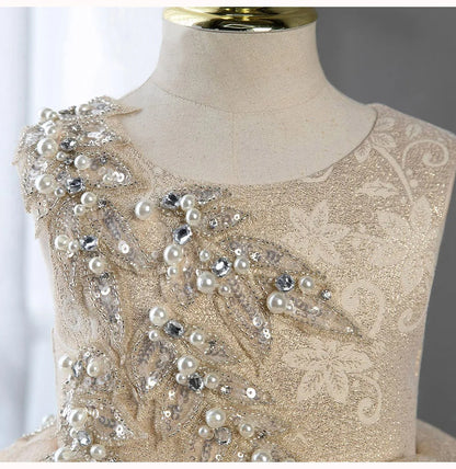 Toddler Girls Christmas Party Princess Dress Embroidery Beading Pearl Lace Children Ball Gown Birthday Performance Prom Dresses